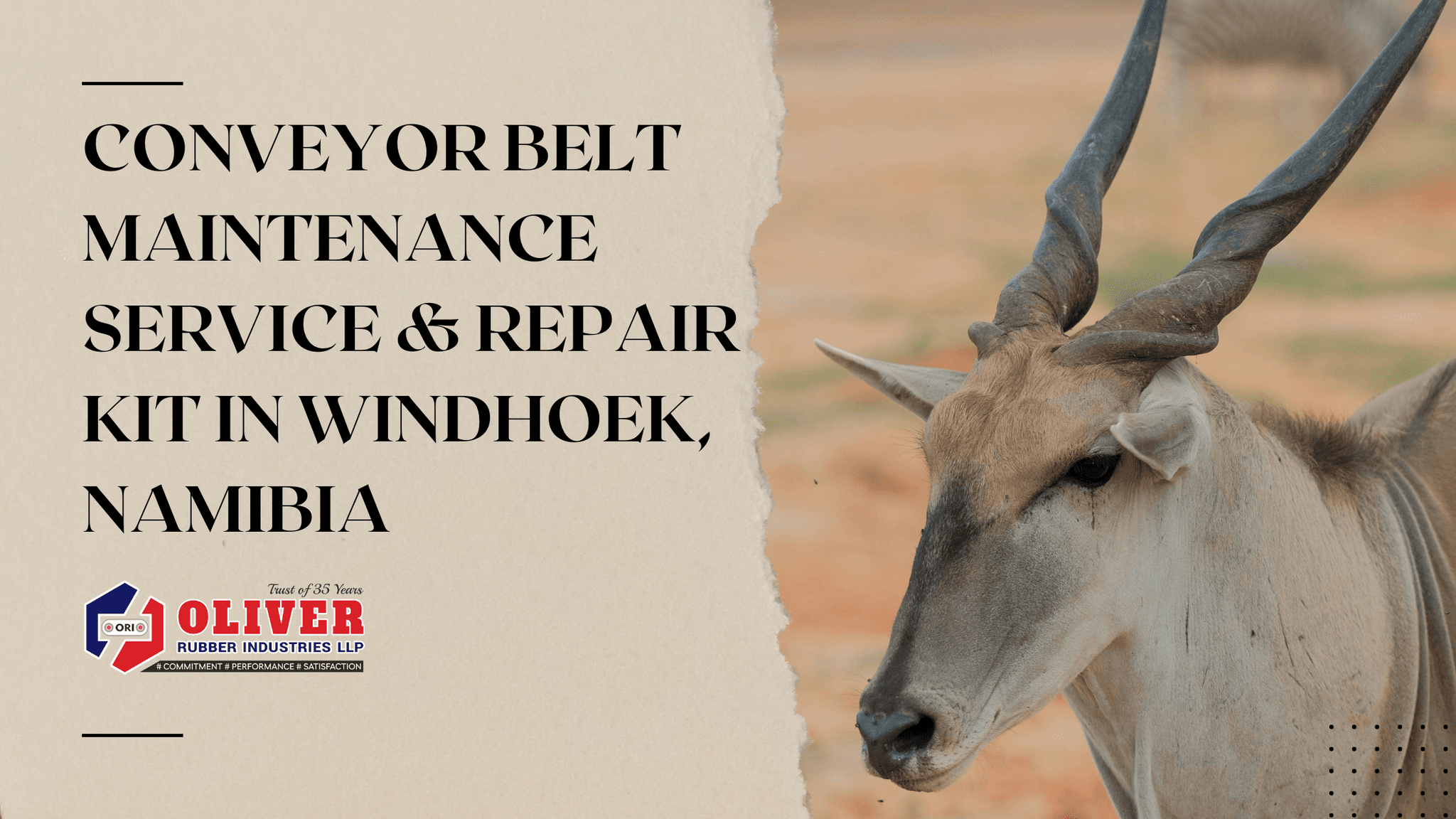 Conveyor Belt Maintenance Service & Repair Kit in Windhoek, Namibia
