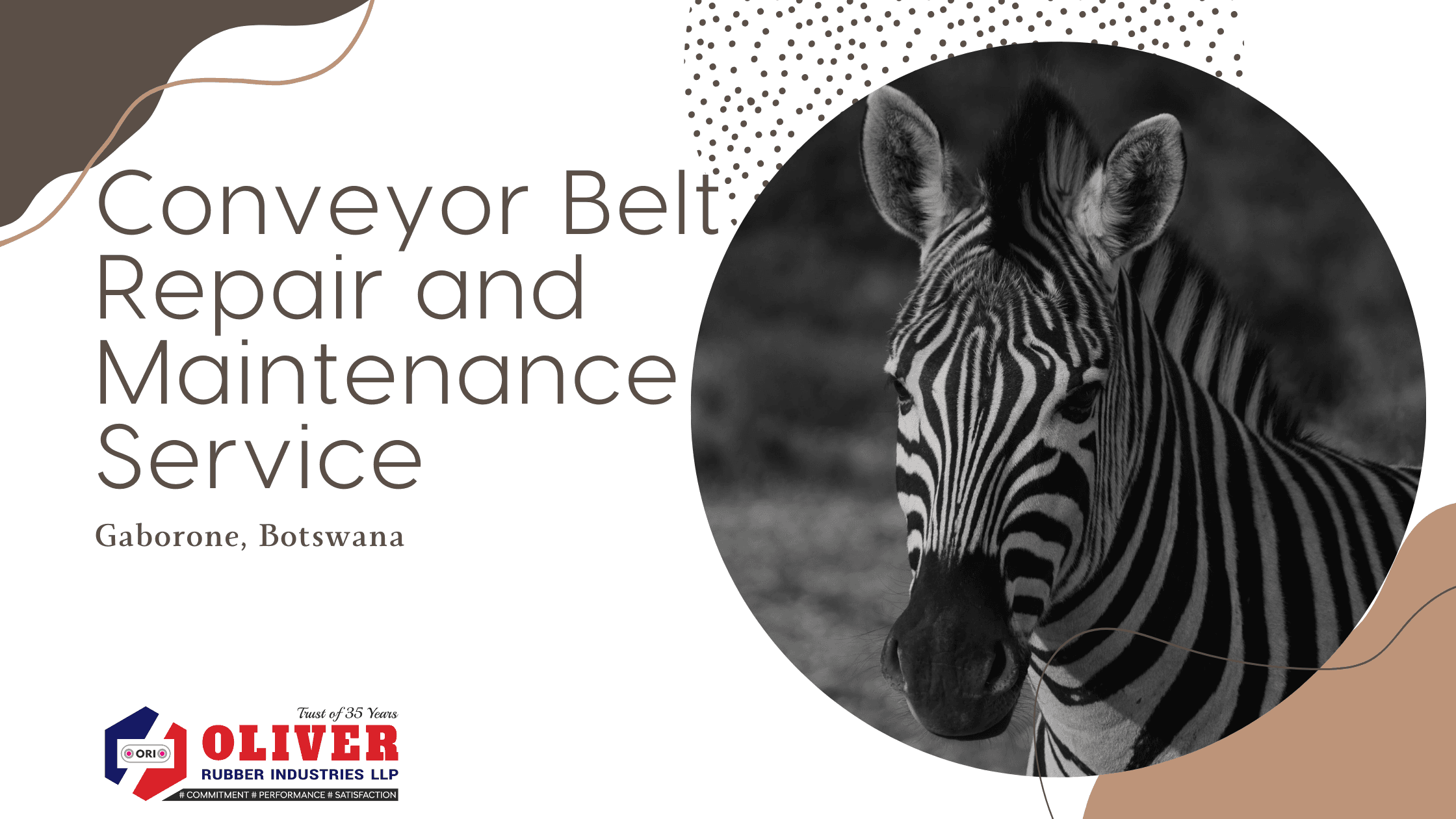 Conveyor Belt Repair Kit & Maintenance Service in Gaborone, Botswana