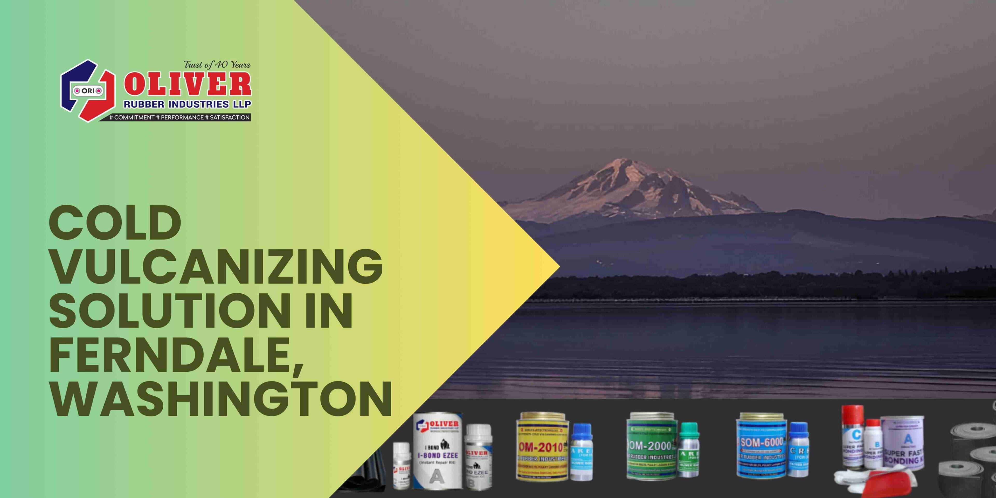 Conveyor Belt Maintenance Service & Repair Kit in Ferndale, Washington State