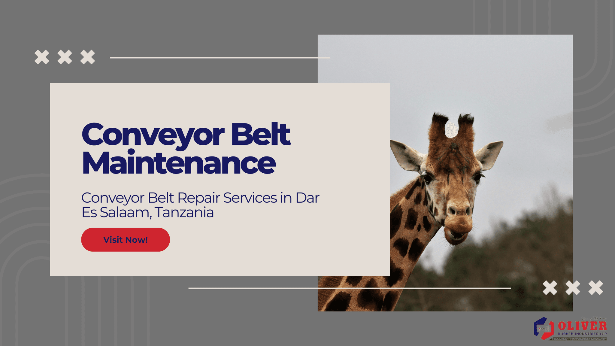 Conveyor Belt Maintenance & Repair Services in Dar Es Salaam, Tanzania