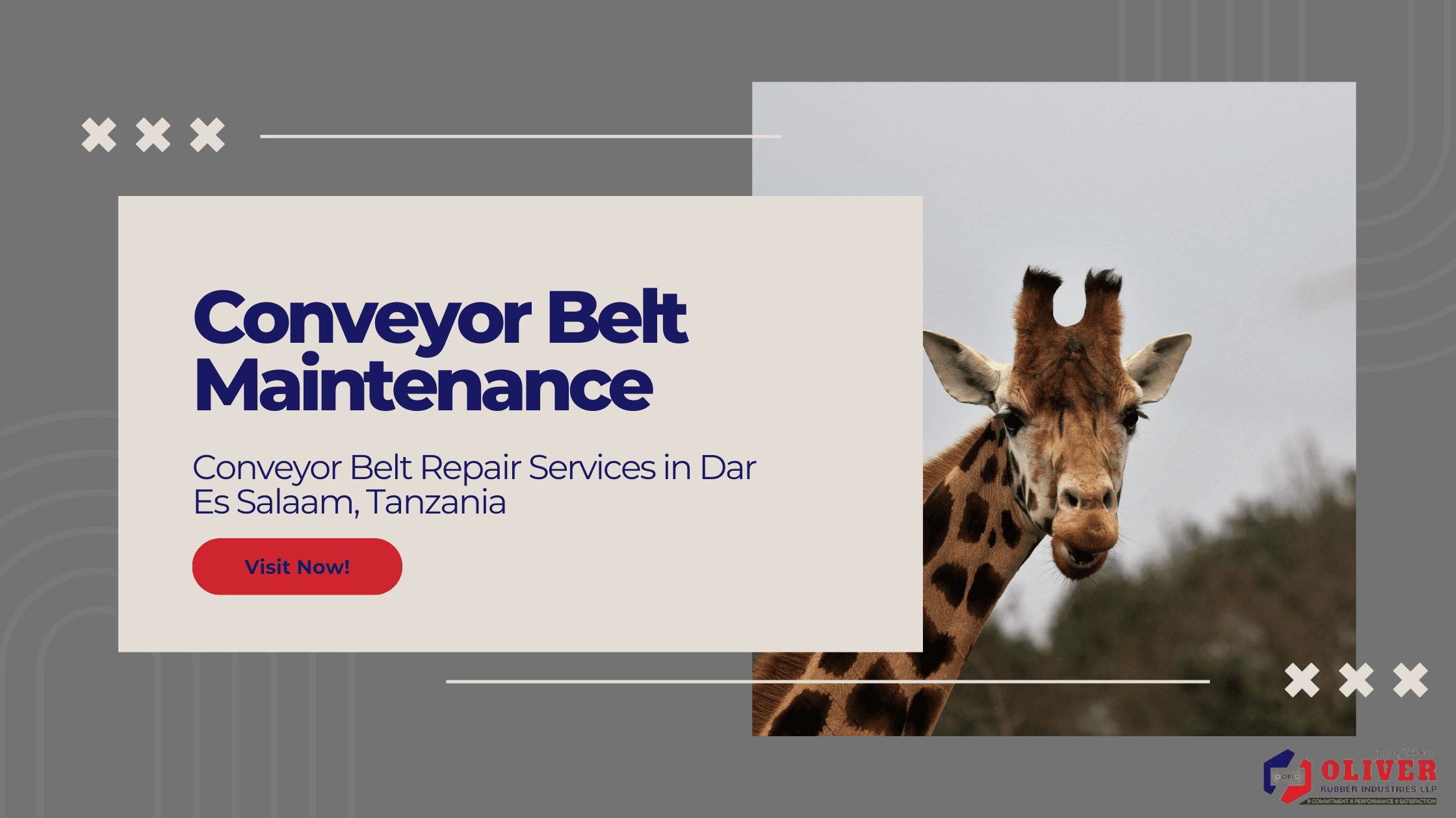 Conveyor Belt Maintenance & Repair Services in Dar Es Salaam, Tanzania