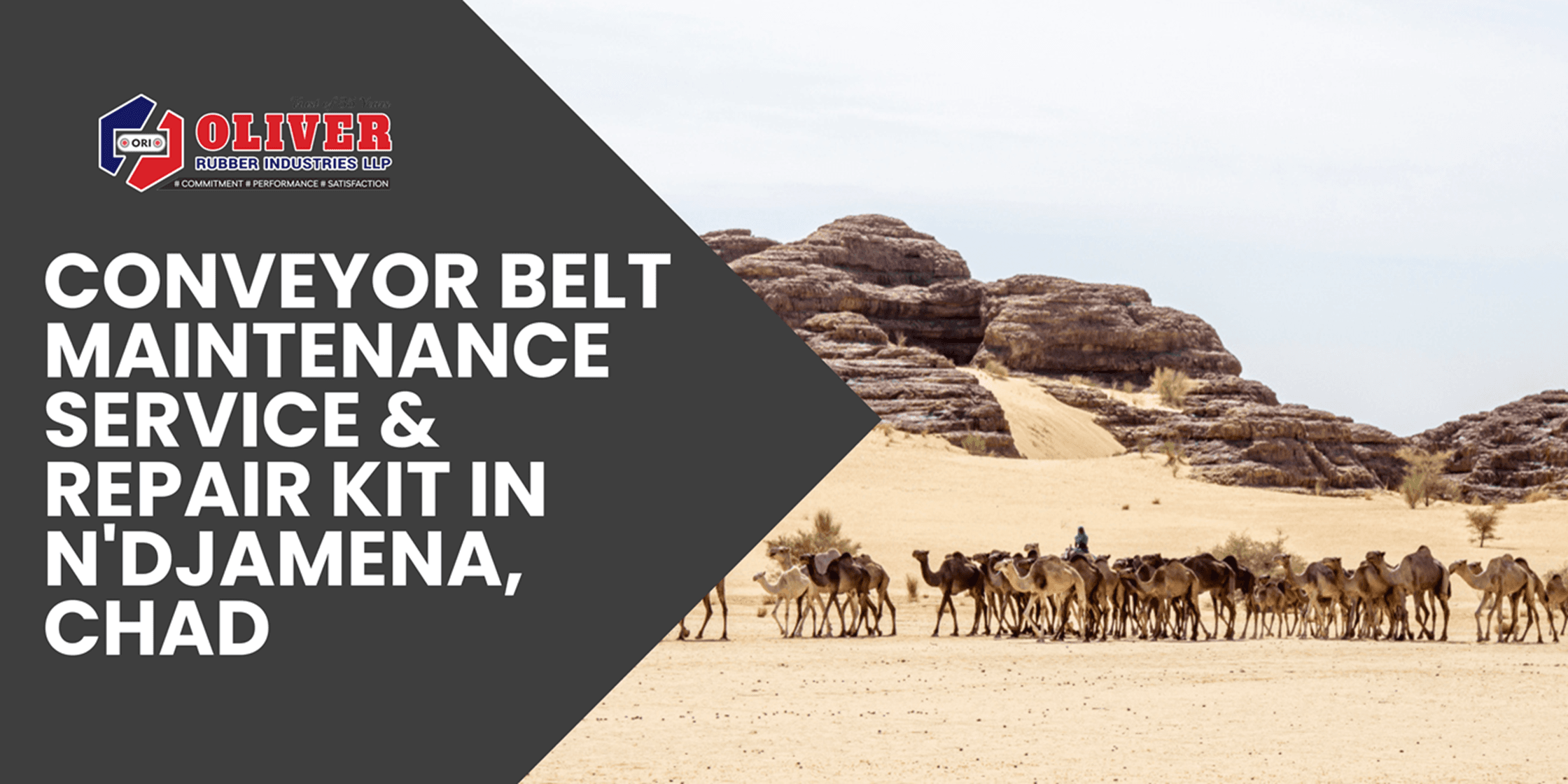 Conveyor Belt Maintenance Service & Repair Kit in N'Djamena, Chad