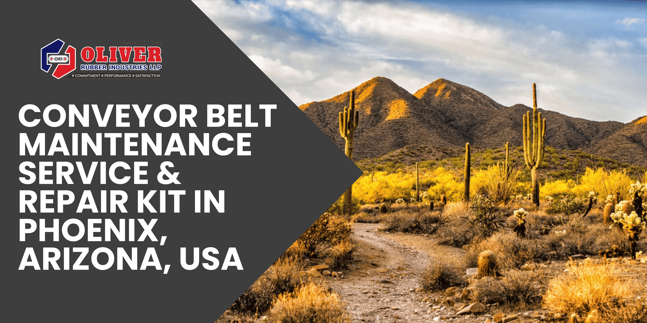 Conveyor Belt Maintenance Service & Repair Kit in Phoenix, Arizona