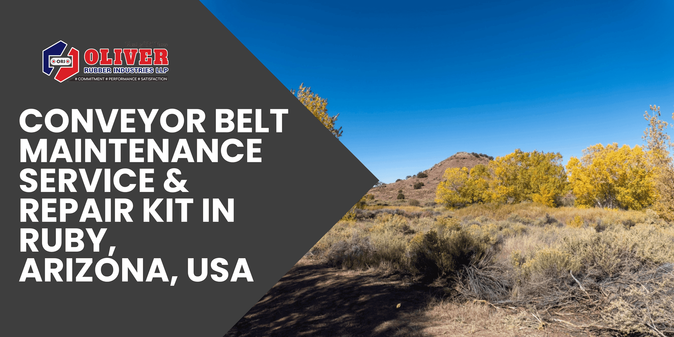 Conveyor Belt Maintenance Service & Repair Kit in Ruby, Arizona