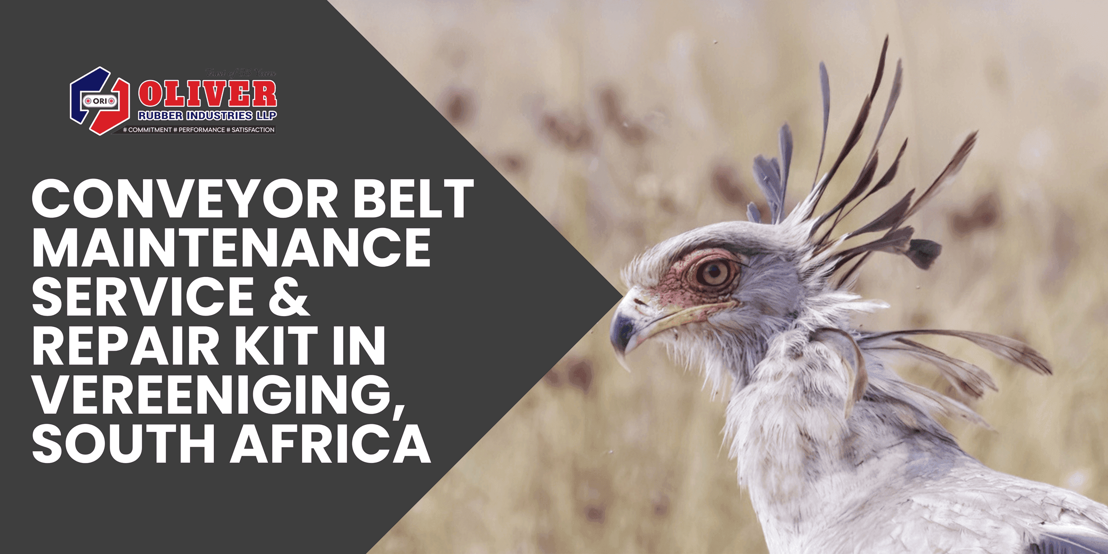 Conveyor Belt Maintenance Service & Repair Kit in Vereeniging, South Africa