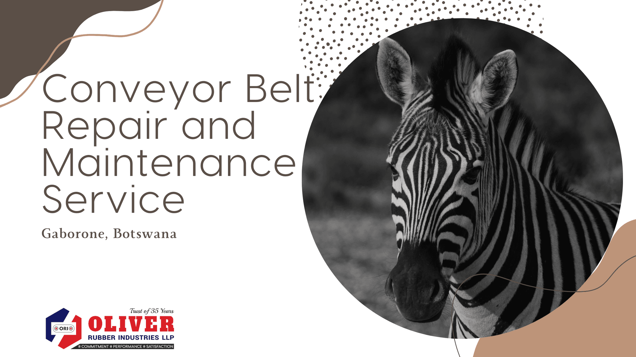 Conveyor Belt Repair Kit & Maintenance Service in Gaborone, Botswana